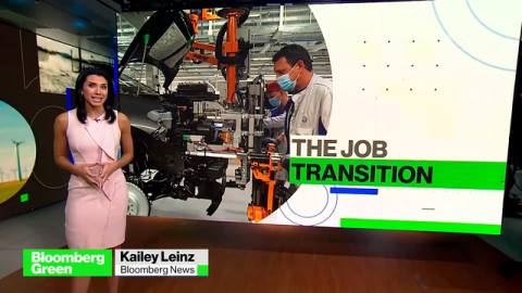 Bloomberg Green: The Sustainable Jobs Market - Featuring Harco Leertouwer, Acre