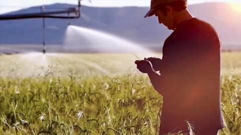 Our Promise to Progress