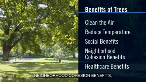 Financing Urban Forests for Environmental and Social Benefits