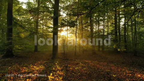 Creating the First Net Plastic Neutral Contact Lens