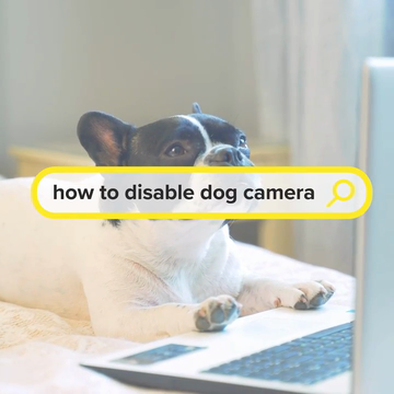 Happy Safer Internet Week!