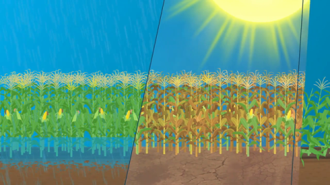 How Thinking Short Could Help Sustainably Weather Climate Change