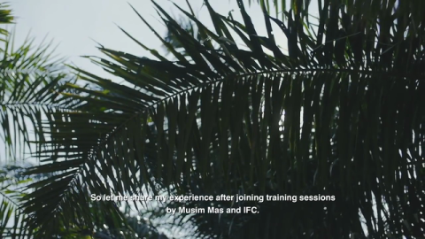 Closing the Gender Gap in the Oil Palm Industry