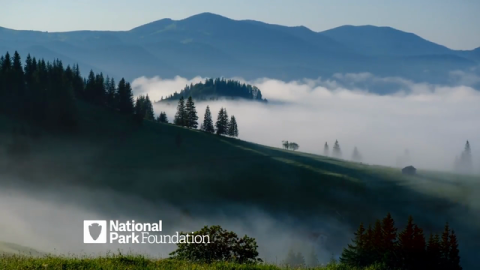 Partnerships Spark Collaboration Benefiting Parks and Local Communities During National Park Week and Beyond