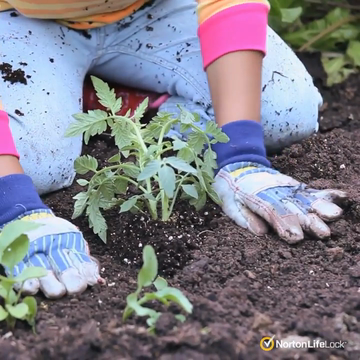 NortonLifeLock Wishes You a Happy Earth Month!