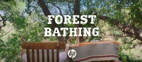 Dr. Jane Goodall Partners With HP to Celebrate 150th Anniversary of Arbor Day and 'Plant a Tree With HP' Campaign