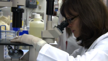 Diabetes Research Institute Foundation: Focused on Finding a Cure