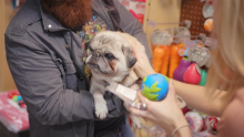Video | Retail Revival Spotlight: A Pet Store with a Purpose