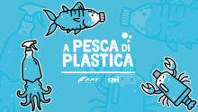 Fishing for Good: Helping Combat Plastic Waste in the Sea