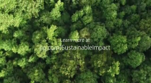 HP Partners with World Wildlife Fund on Forest Protection and Restoration