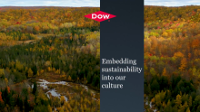 Engaging Team Dow: The Far-Reaching Impact of Embedding Sustainability Into Our Culture