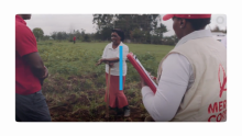 Learn How a Cisco Nonprofit Partner Pivoted to Help Smallholder Farmers During COVID-19
