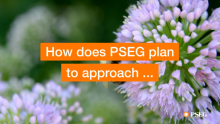PSEG Joins UN 'Race To Zero' Initiative, Commits to Setting Science-Based Emissions Reduction Targets