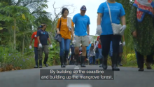 Continuing the Journey to Protect the Mangroves in the Philippines: AI Solutions Show Promise in Wildlife and Site Protection