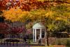 UNC-Chapel Hill