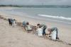 Volunteers with bags of trash cleaned from the beach