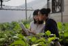 Two people look at a tech device screen while standing in a greenhouse surrounded by plants