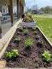 raised garden beds along the side of a building