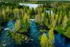 River and trees, seen from above