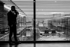 black and white representation of a businessman in front of a large window with blinds open 