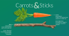 Carrots and Sticks report