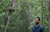 Lemur in a tree with scientist.