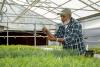 Kuldeep Singh, nursery manager for the L.A. Moran Reforestation Center in Davis, California. Courtesy of American Forests