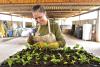 Bernadete Santos of the Copaíba restoration organization carefully presses seedlings into the soil. These native species were planted in the Mogi Guaçu River basin of Brazil's Atlantic Forest as part of an ambitious WWF project. 