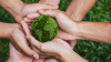 hands holding a miniature Earth made of grass