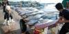 two people in white boots stand near a cart full of large fish on a dock