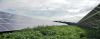 solar panels in a field