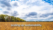 VIDEO | Welcome to Cargill's 2017 Annual Report
