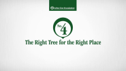 The Right Tree for the Right Place