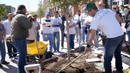 VIDEO | See How Texas Trees Foundation and Alliance Data Are Working to Reverse Dallas’ Rising Temps