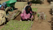 VIDEO | Landscape Restoration in Ethiopia Brings Watershed to Life 