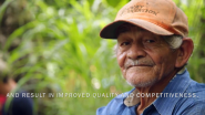 Aprende más sobre Lutheran World Relief ayuda a pequeños agricultores de cacao y cooperativas de Centroamérica