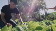 VIDEO | Beneficial Beans Garden Provides Valuable Life Skills for Adults with Autism 