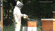 VIDEO |  eBay Retail Revival: Akron Honey Company