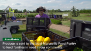 ScottsMiracle-Gro Associates Garden for Health and the Community