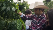 Grown Respectfully: The Nescafé Plan Helps Coffee Farmers Like Eduardo Thrive