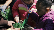 VIDEO | The Scotts Miracle-Gro Foundation to Connect One Million Children to Fresh Food in Partnership with The National Head Start Association