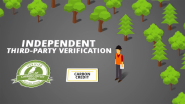 VIDEO - Forest Carbon Offset Verification: What to Expect During a Field Visit