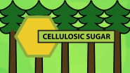 Cellulosic Sugars: The Latest Domtar Innovation