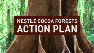 Nestlé Lays out Action Plan to Help End Deforestation and Restore Forests in the Cocoa Supply Chain