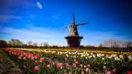 Schneider Electric Helps City of Holland Adopt 40-year Community Energy Plan