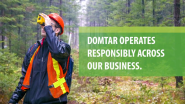 Domtar’s 2019 Sustainability Report: A Better Future Together