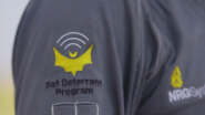 New Technology Helps Protect Bats from Wind Turbines