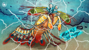 Helicoid Industries, Ray of Hope Prize Finalist, Designs With Inspiration From Mantis Shrimp