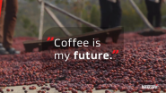 Coffee's Great Hope