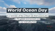 WSP Celebrates World Ocean Day